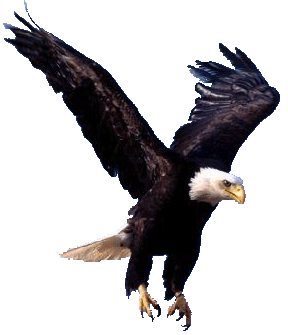 Eagle