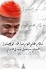 Filename=005~2.jpg
Filesize=120KB
Dimensions=787x1181
Date added=May 12, 2011 005~2.jpg
